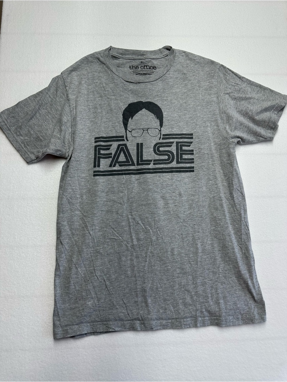 The Office Dwight Schrute “FALSE” Tee • Unisex Graphic Shirt